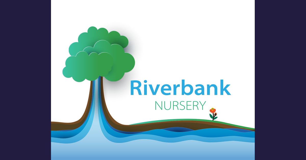 Riverbank Nursery